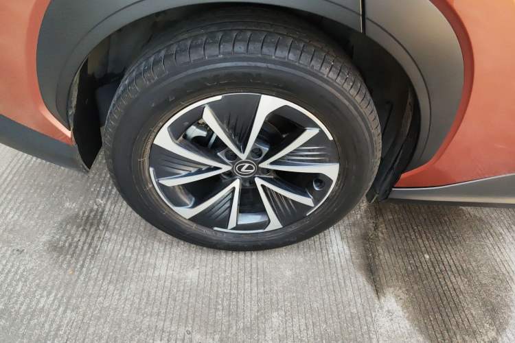 Used Lexus RZ 2023 450e All-Wheel Drive Luxury Edition Exterior 5