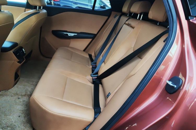 Used Lexus RZ 2023 450e All-Wheel Drive Luxury Edition Left Rear Seat