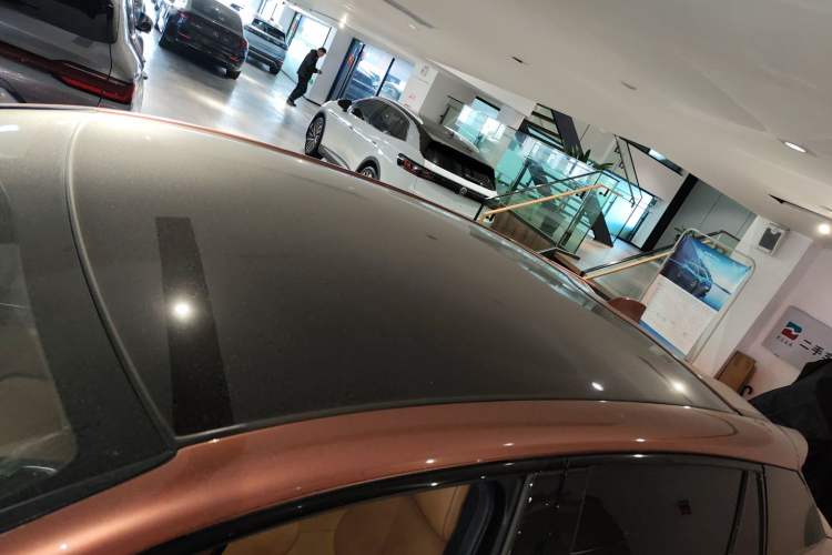 Used Lexus RZ 2023 450e All-Wheel Drive Luxury Edition Roof