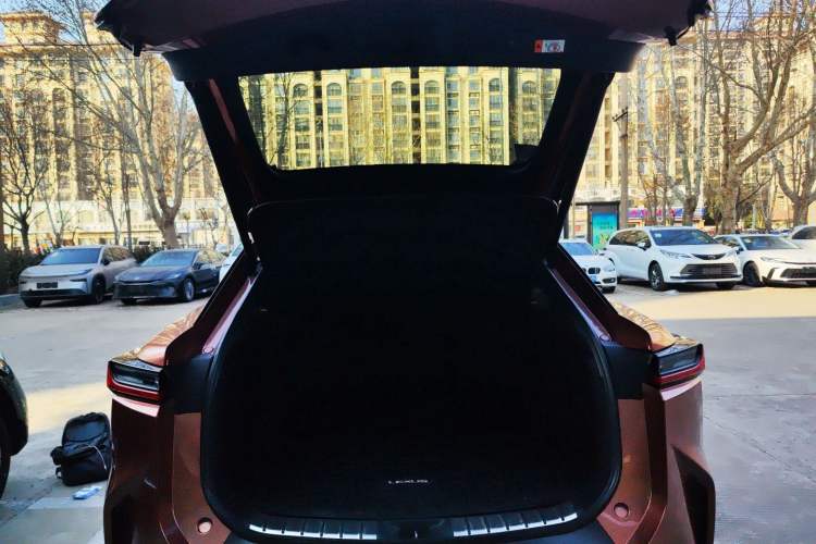 Used Lexus RZ 2023 450e All-Wheel Drive Luxury Edition Trunk