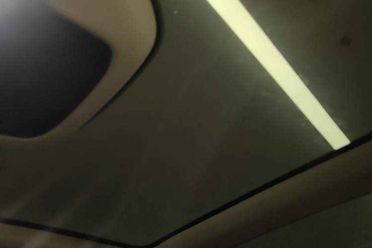 Used Lexus RZ 2023 450e All-Wheel Drive Luxury Edition Headliner