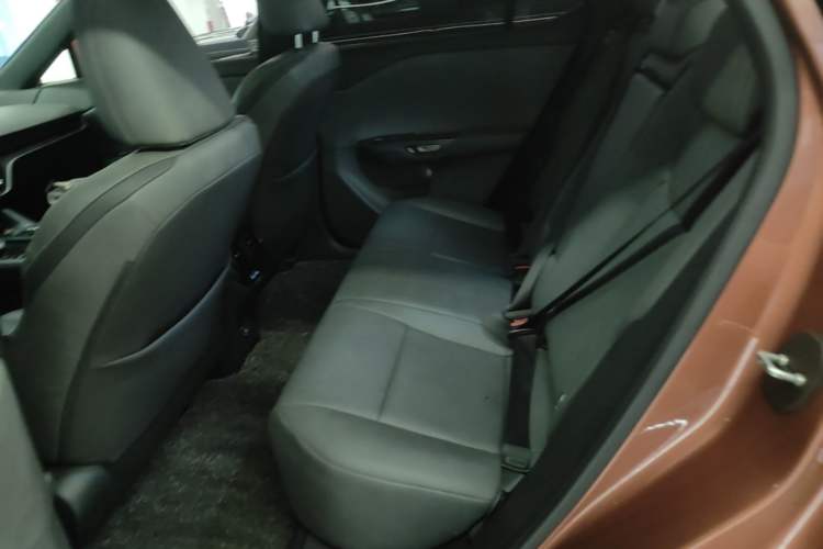 Used Lexus RZ 2023 450e All-Wheel Drive Luxury Edition Left Rear Seat