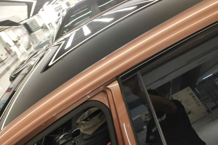 Used Lexus RZ 2023 450e All-Wheel Drive Luxury Edition Roof