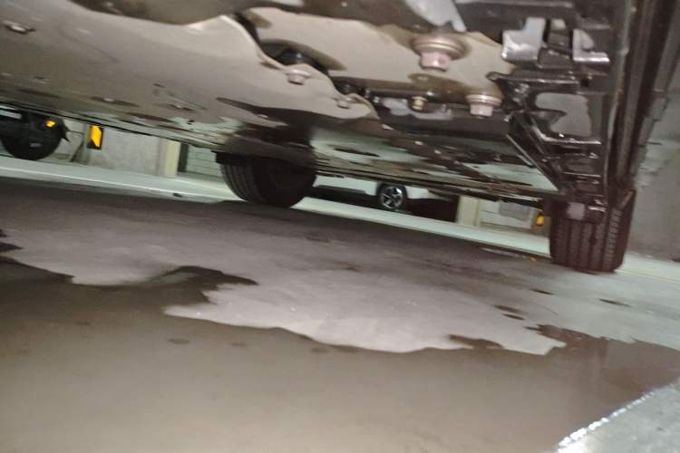 Used Lexus RZ 2023 450e All-Wheel Drive Luxury Edition Chassis Front Left