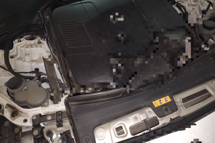 Used Lexus RZ 2023 450e All-Wheel Drive Luxury Edition Engine Bay