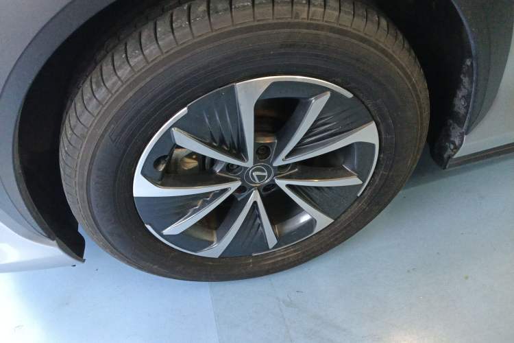 Used Lexus RZ 2023 450e All-Wheel Drive Luxury Edition Exterior 4