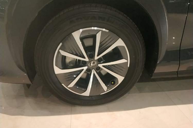 Used Lexus RZ 2023 450e All-Wheel Drive Luxury Edition Exterior 4