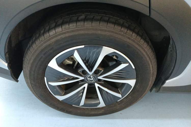 Used Lexus RZ 2023 450e All-Wheel Drive Luxury Edition Exterior 5