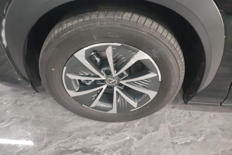 Used Lexus RZ 2023 450e All-Wheel Drive Luxury Edition Exterior 6