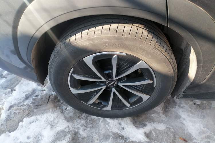 Used Lexus RZ 2023 450e All-Wheel Drive Luxury Edition Exterior 8