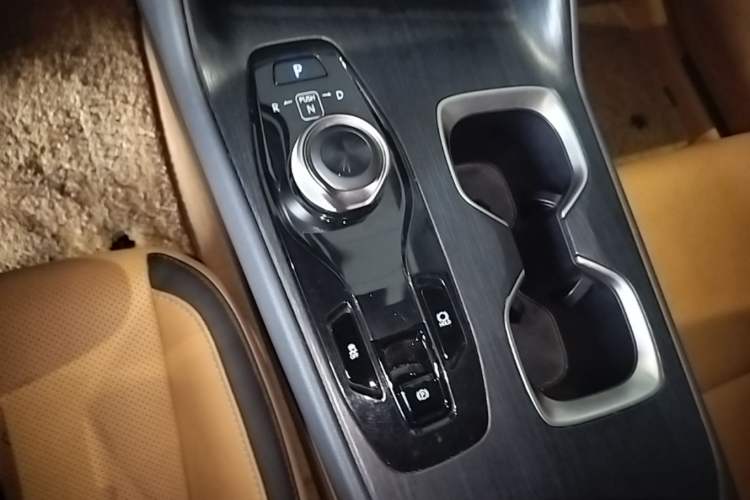 Used Lexus RZ 2023 450e All-Wheel Drive Luxury Edition Gear Lever