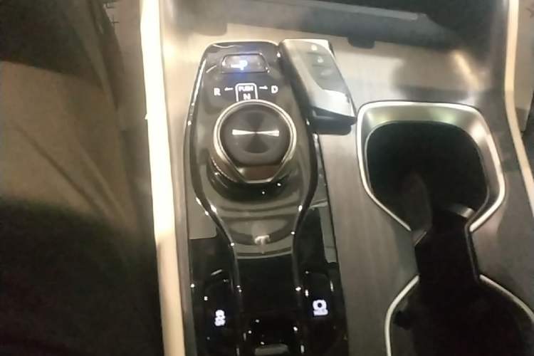Used Lexus RZ 2023 450e All-Wheel Drive Luxury Edition Gear Lever