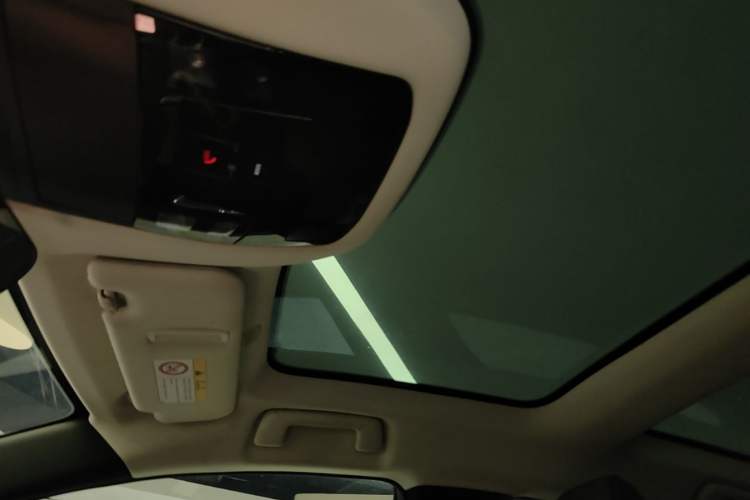 Used Lexus RZ 2023 450e All-Wheel Drive Luxury Edition Headliner