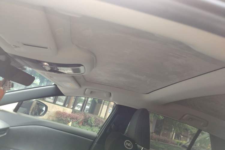 Used Lexus RZ 2023 450e All-Wheel Drive Luxury Edition Headliner