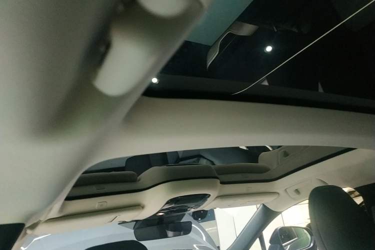 Used Lexus RZ 2023 450e All-Wheel Drive Luxury Edition Headliner