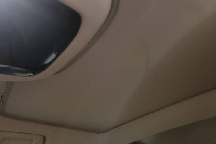 Used Lexus RZ 2023 450e All-Wheel Drive Luxury Edition Headliner