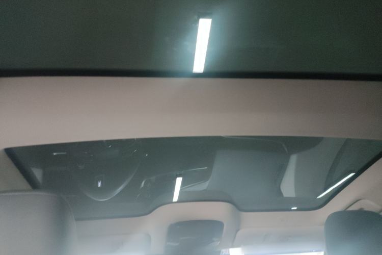 Used Lexus RZ 2023 450e All-Wheel Drive Luxury Edition Headliner