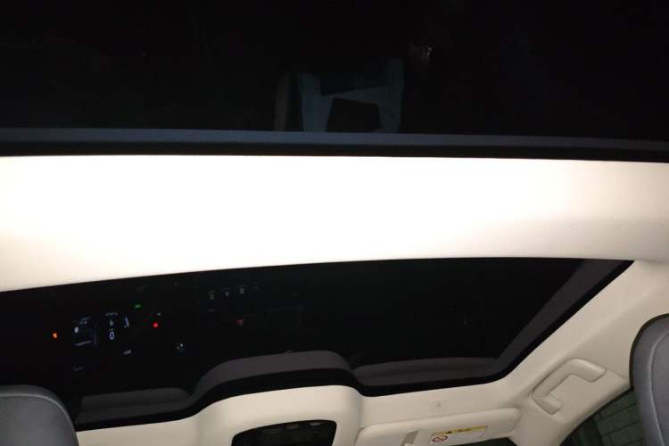 Used Lexus RZ 2023 450e All-Wheel Drive Luxury Edition Headliner