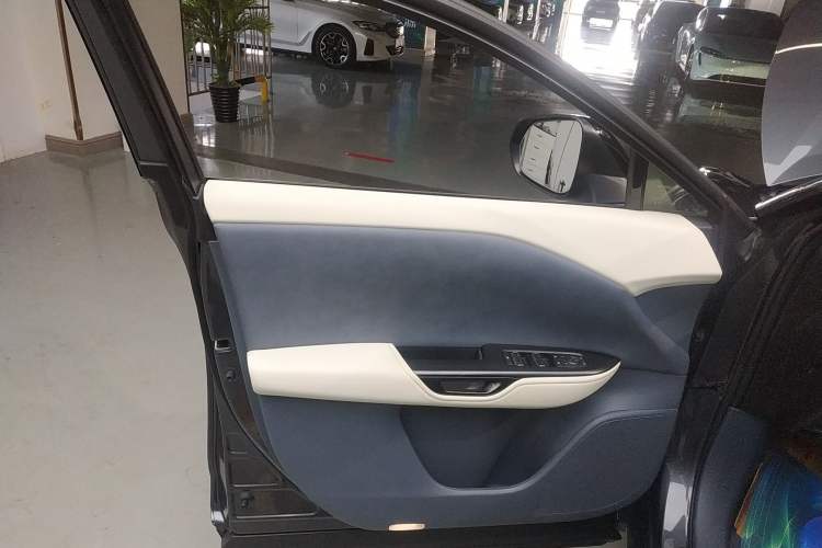 Used Lexus RZ 2023 450e All-Wheel Drive Luxury Edition Left Front Door Interior