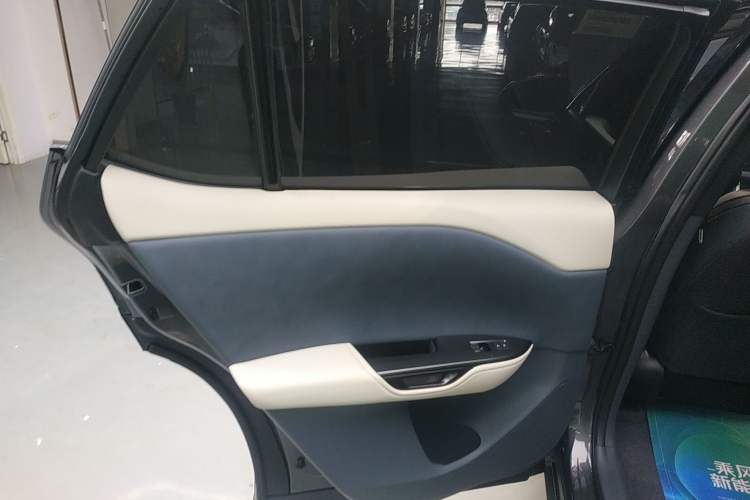 Used Lexus RZ 2023 450e All-Wheel Drive Luxury Edition Left Rear Door Interior