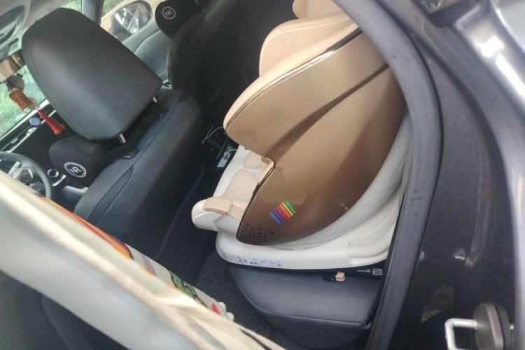Used Lexus RZ 2023 450e All-Wheel Drive Luxury Edition Left Rear Seat