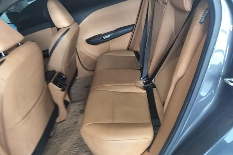 Used Lexus RZ 2023 450e All-Wheel Drive Luxury Edition Left Rear Seat