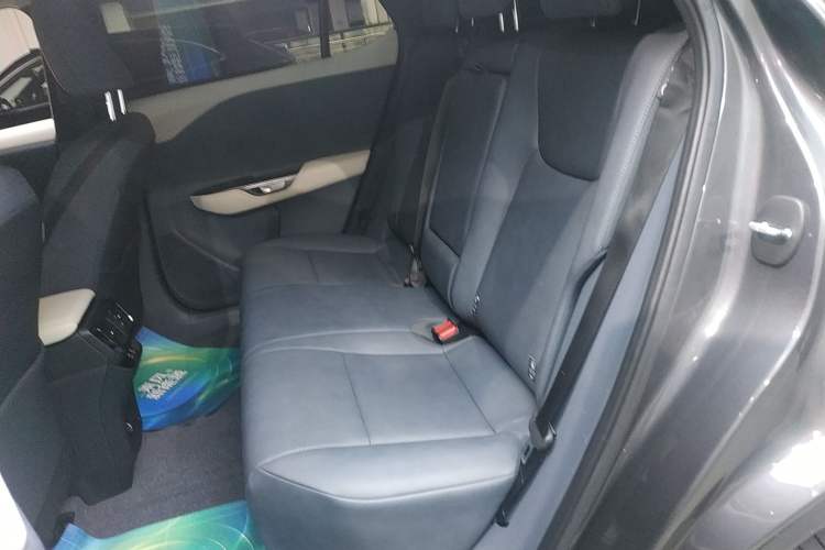 Used Lexus RZ 2023 450e All-Wheel Drive Luxury Edition Left Rear Seat