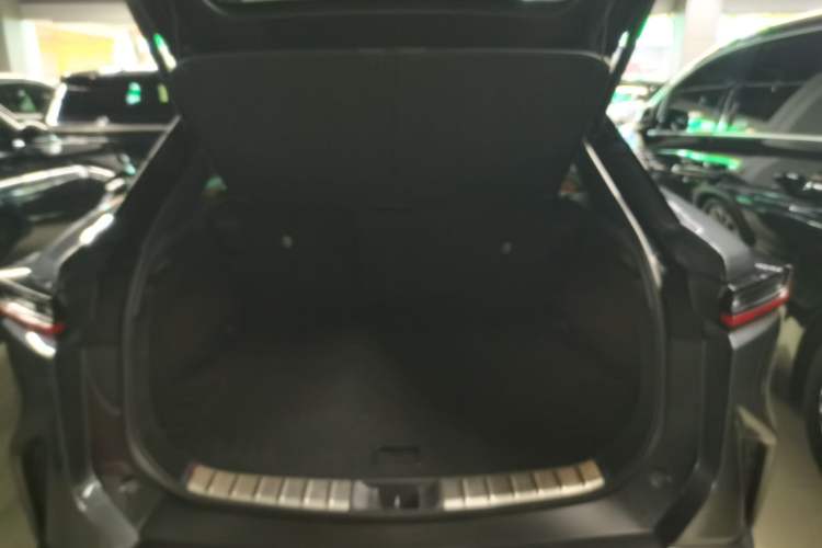 Used Lexus RZ 2023 300e Long-Range Indulgence Edition Trunk