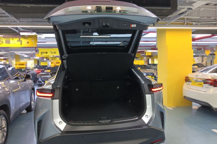 Used Lexus RZ 2023 450e All-Wheel Drive Luxury Edition Trunk