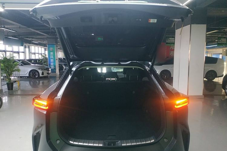 Used Lexus RZ 2023 450e All-Wheel Drive Luxury Edition Trunk