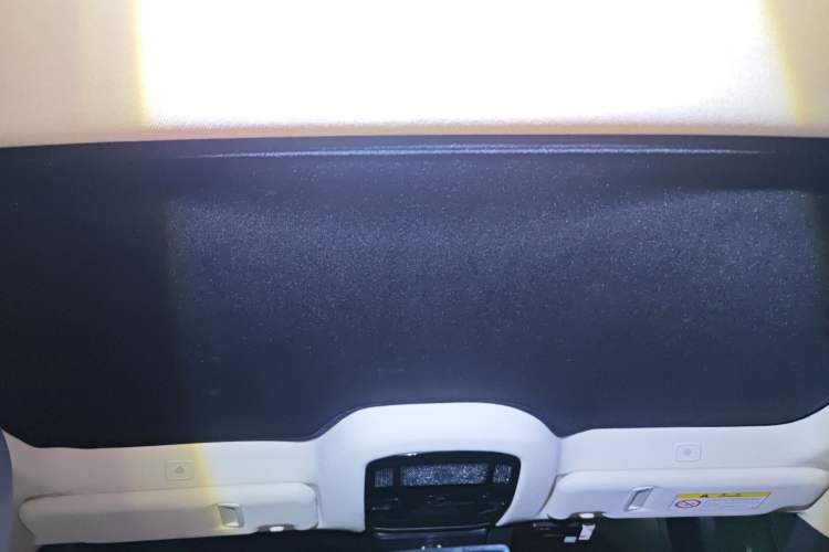 Used Lexus RZ 2023 450e All-Wheel Drive Luxury Edition Headliner