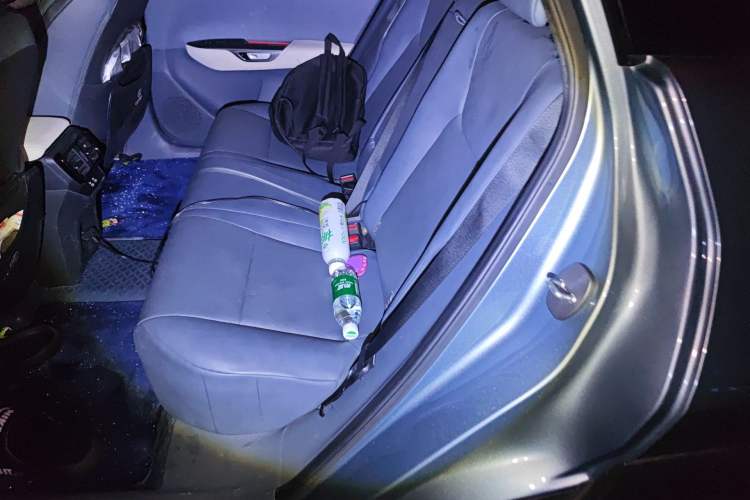 Used Lexus RZ 2023 450e All-Wheel Drive Luxury Edition Left Rear Seat