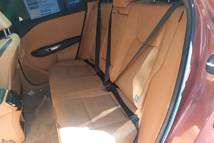 Used Lexus RZ 2023 450e All-Wheel Drive Luxury Edition Left Rear Seat