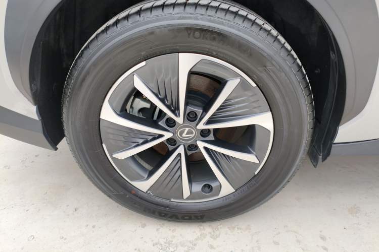 Used Lexus RZ 2023 450e All-Wheel Drive Luxury Edition Exterior 5