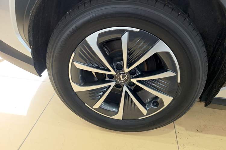 Used Lexus RZ 2023 450e All-Wheel Drive Luxury Edition Exterior 5