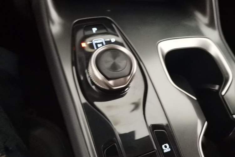 Used Lexus RZ 2023 450e All-Wheel-Drive Long-Range Version Gear Lever