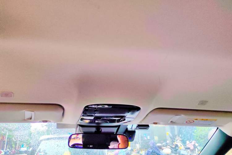Used Lexus RZ 2023 450e All-Wheel-Drive Long-Range Version Headliner