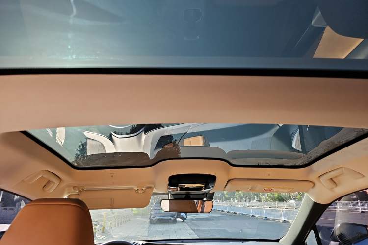 Used Lexus RZ 2023 450e All-Wheel Drive Luxury Edition Headliner