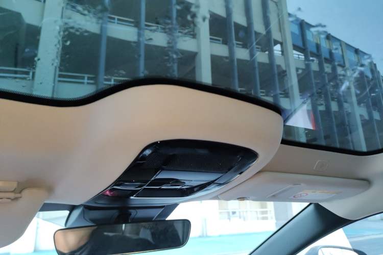 Used Lexus RZ 2023 450e All-Wheel Drive Luxury Edition Headliner