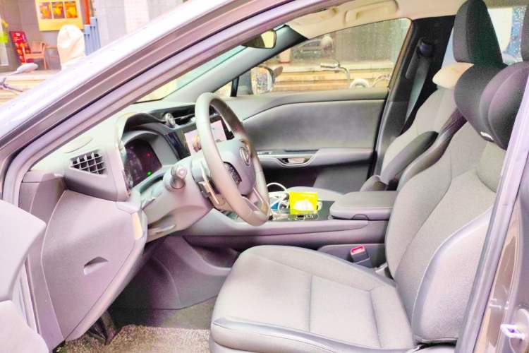 Used Lexus RZ 2023 450e All-Wheel-Drive Long-Range Version Left Front Seat