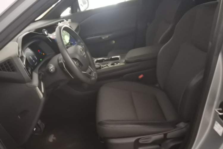 Used Lexus RZ 2023 450e All-Wheel-Drive Long-Range Version Left Front Seat