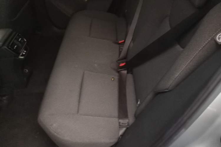 Used Lexus RZ 2023 450e All-Wheel-Drive Long-Range Version Left Rear Seat