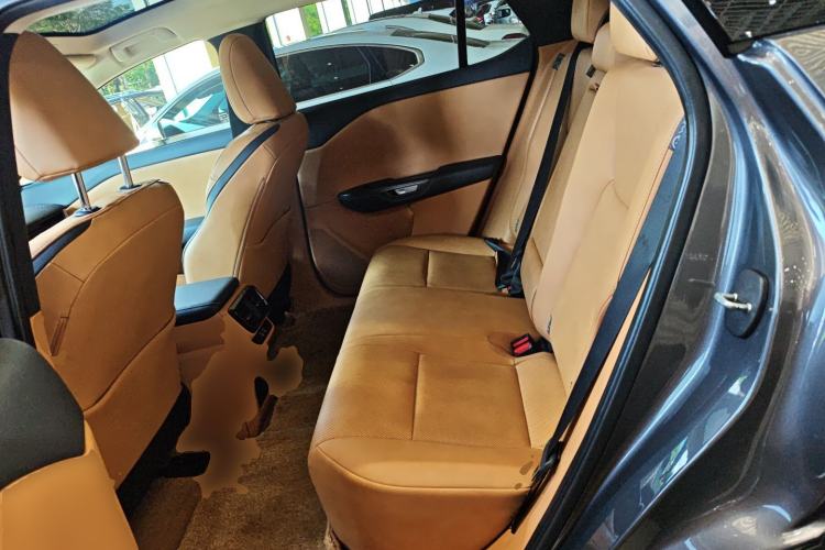 Used Lexus RZ 2023 450e All-Wheel Drive Luxury Edition Left Rear Seat