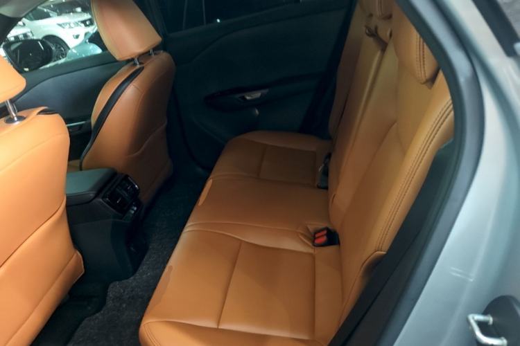 Used Lexus RZ 2023 450e All-Wheel-Drive Long-Range Version Left Rear Seat