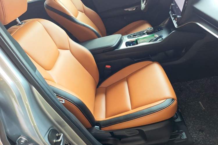 Used Lexus RZ 2023 450e All-Wheel-Drive Long-Range Version Right Front Seat