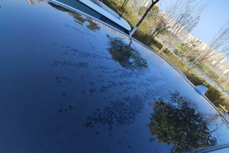 Used Lexus RZ 2023 450e All-Wheel Drive Luxury Edition Roof