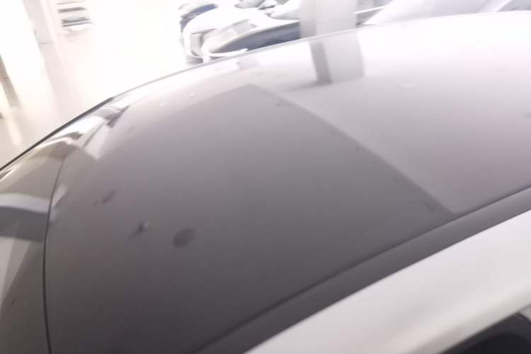 Used Lexus RZ 2023 450e All-Wheel-Drive Long-Range Version Roof