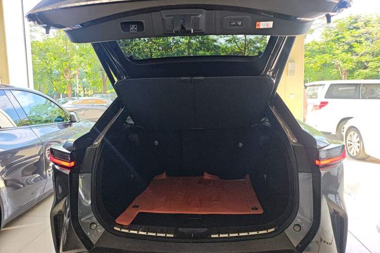 Used Lexus RZ 2023 450e All-Wheel Drive Luxury Edition Trunk