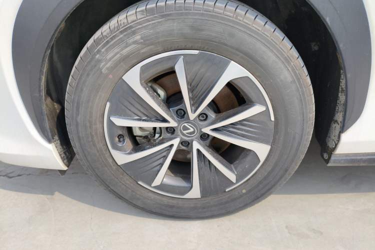 Used Lexus RZ 2023 450e All-Wheel Drive Luxury Edition Exterior 4
