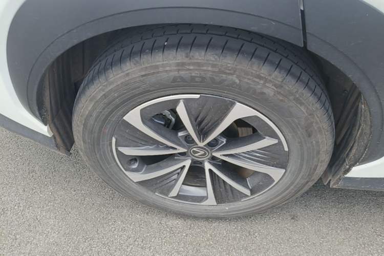 Used Lexus RZ 2023 300e Long-Range Indulgence Edition Exterior 5